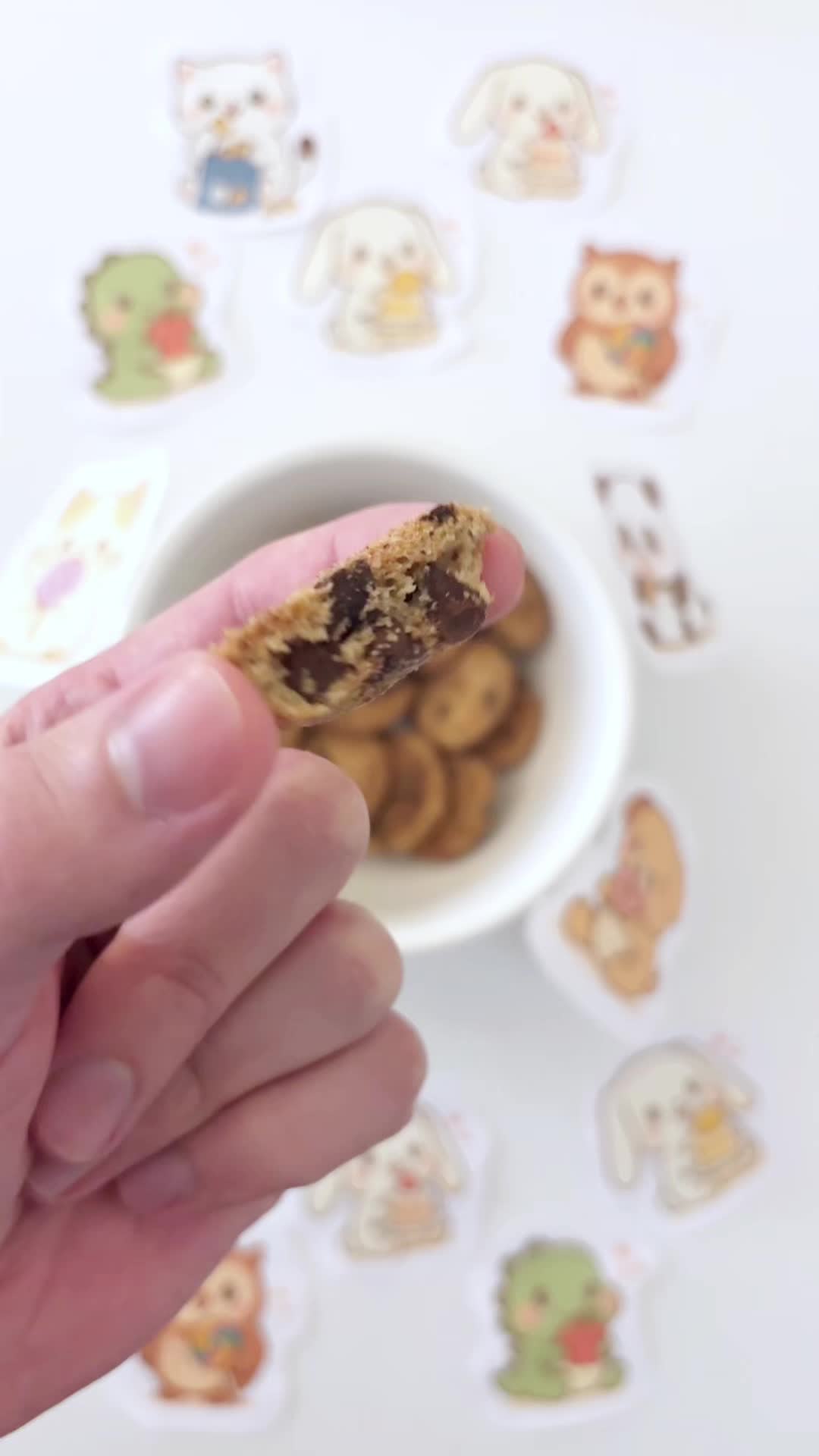 @dollarstoresnackreviews