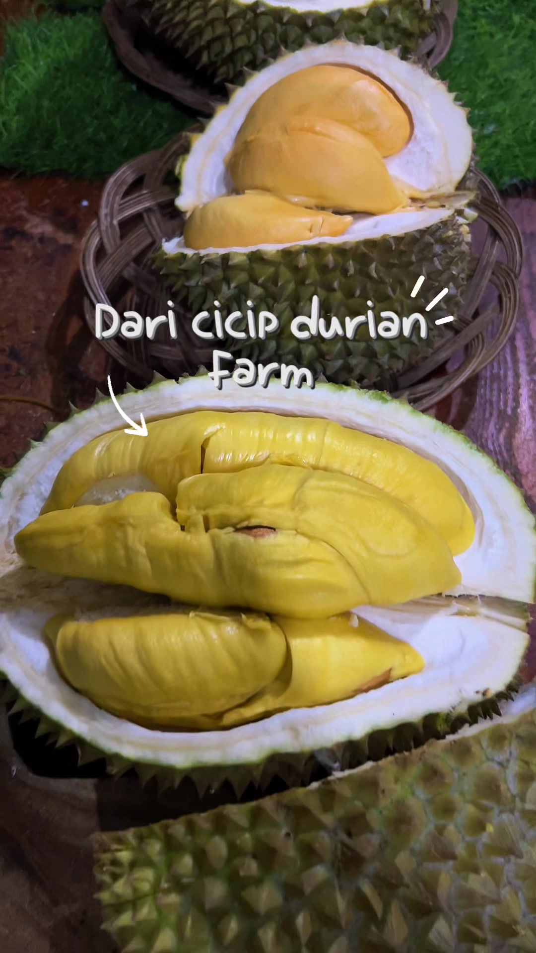 @Cicip Durian