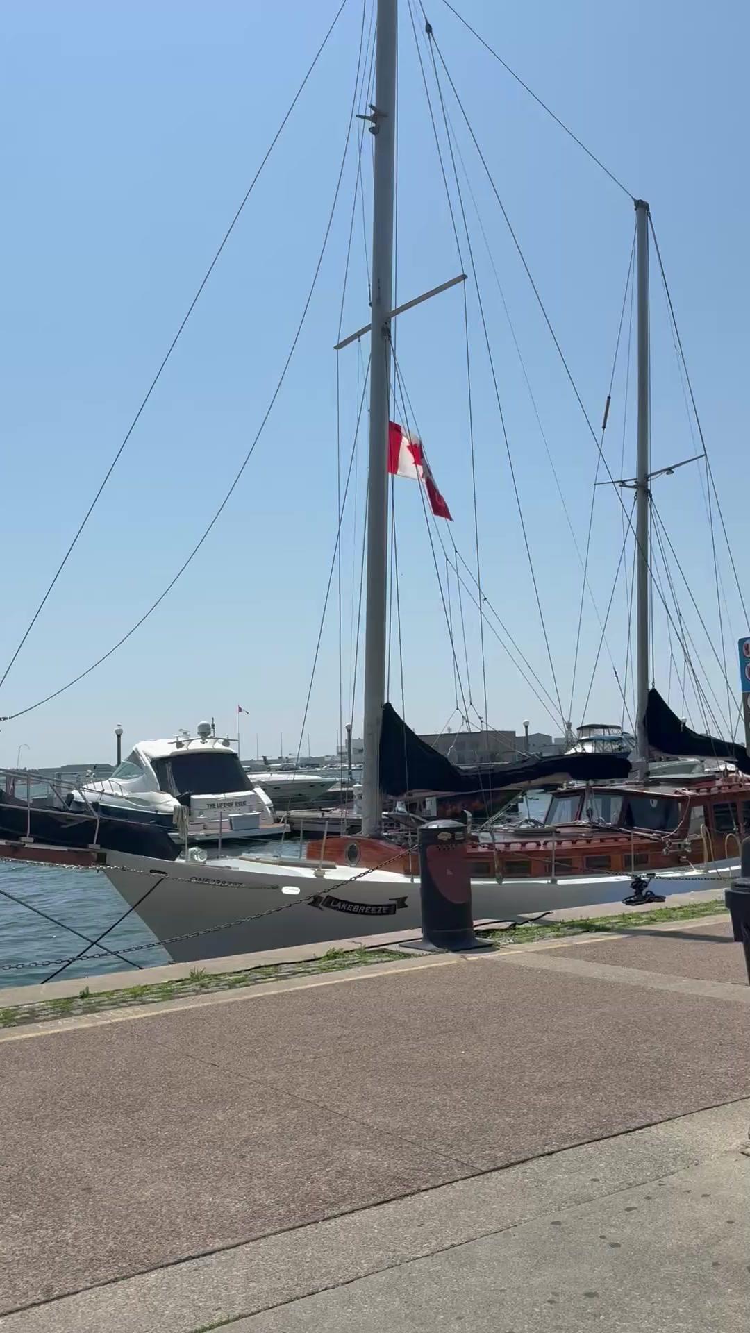 @Donna🇨🇦