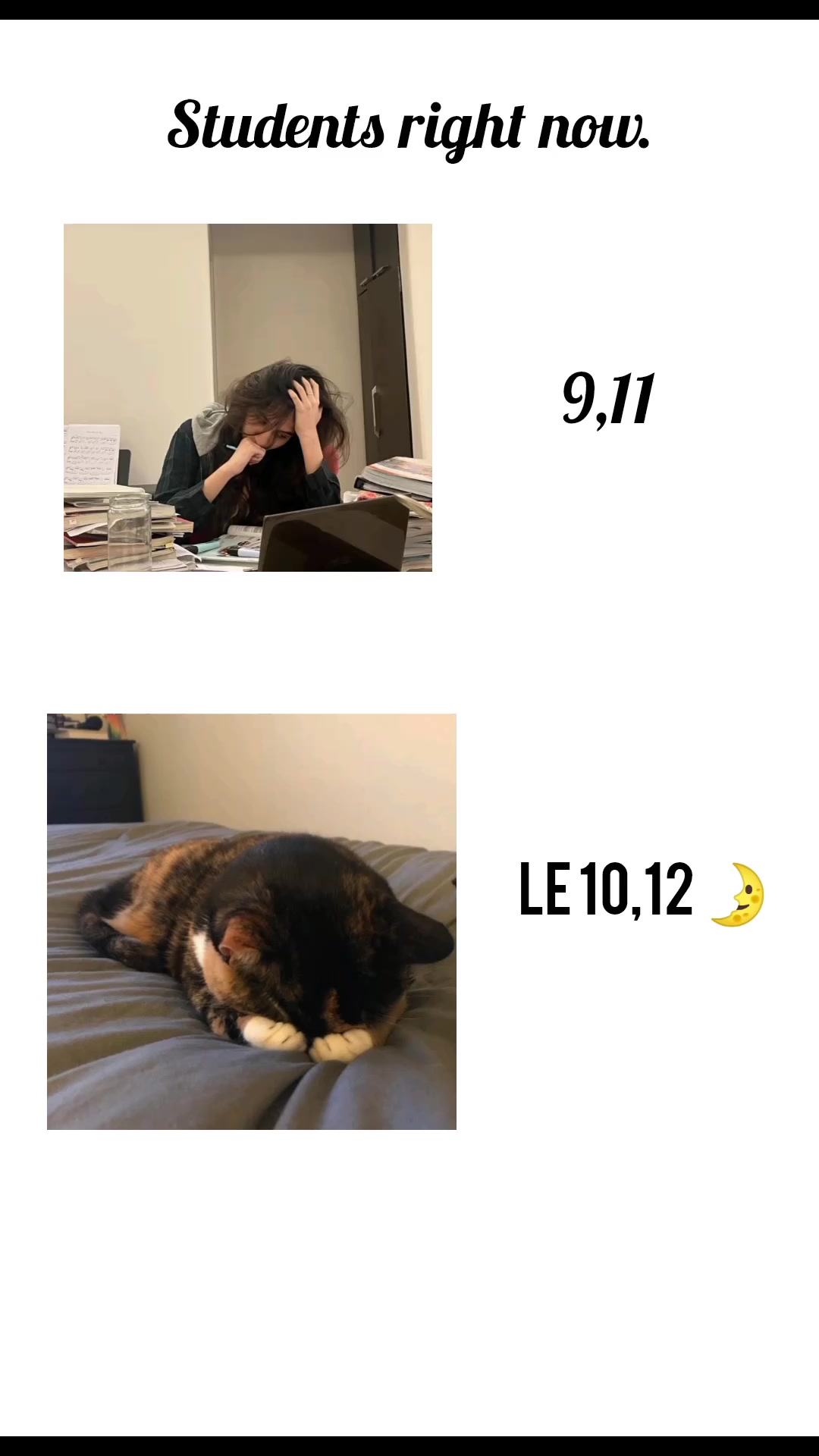@๐ฉ๐ ๐ ๐ ุญ ๐ผ ๐๐ช ใ