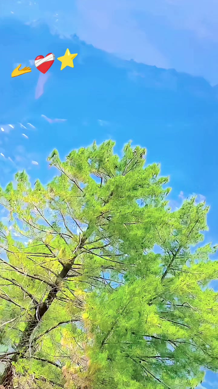 @🦅&raquo;تنہا🔥🇦&laquo;🫴