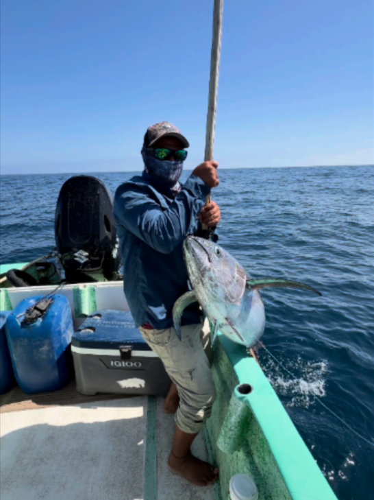 @Baja Molinito Experience