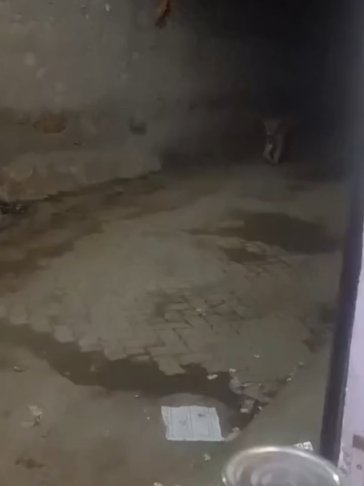 @kumar