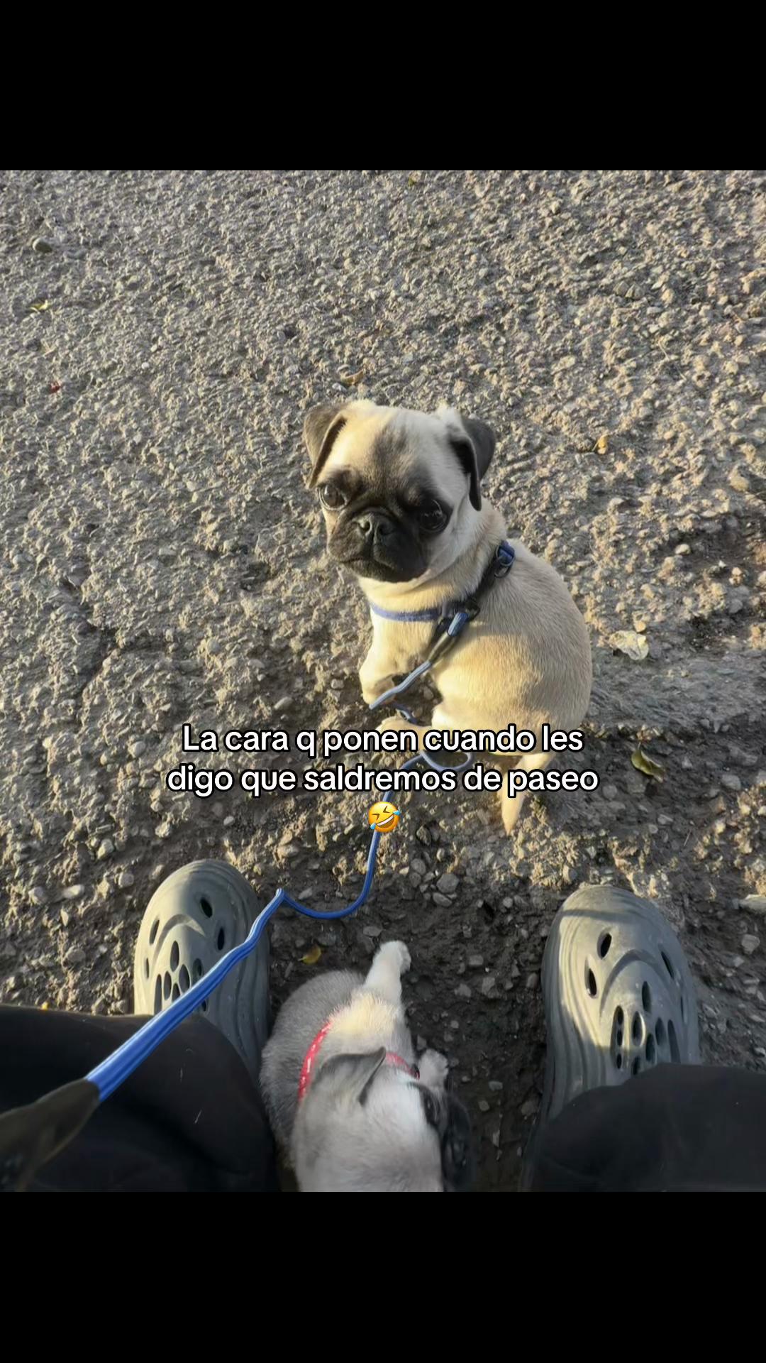 @🧸