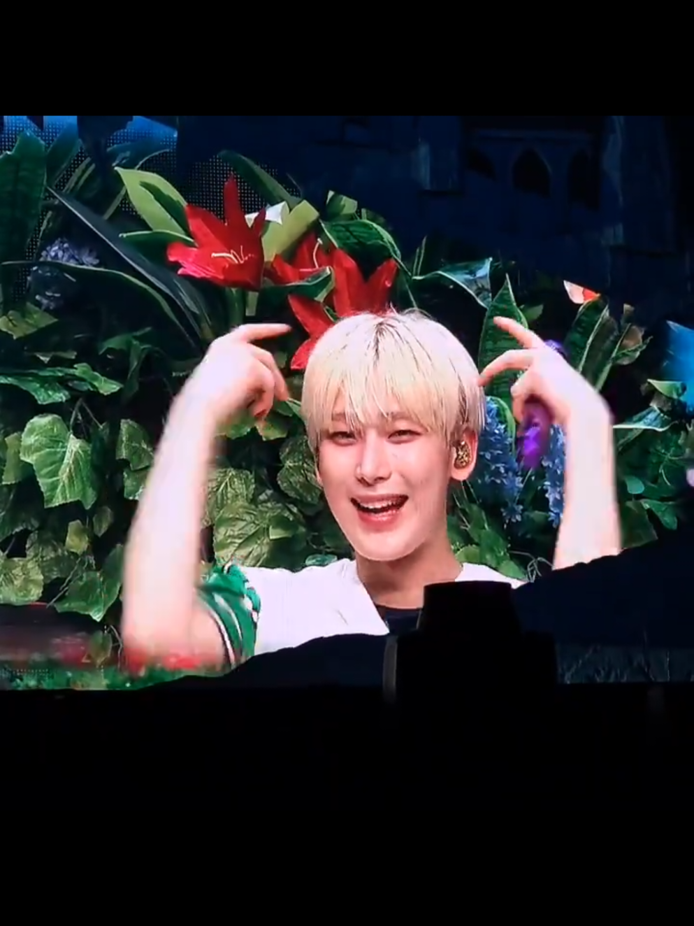 @VSNHEE 🐻🦊THEA🦊