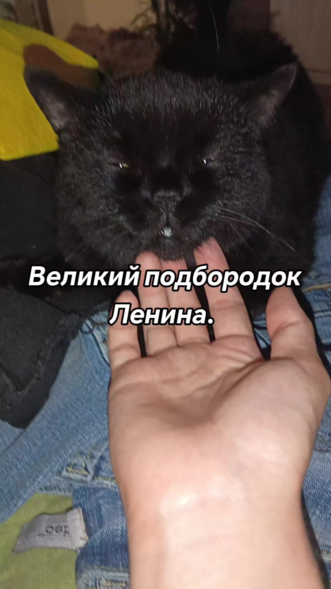 @amusleninblyadina