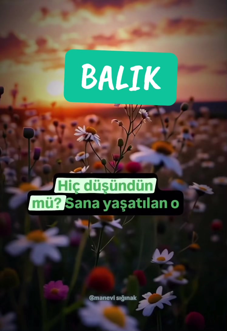 @Sevgi - seli 000