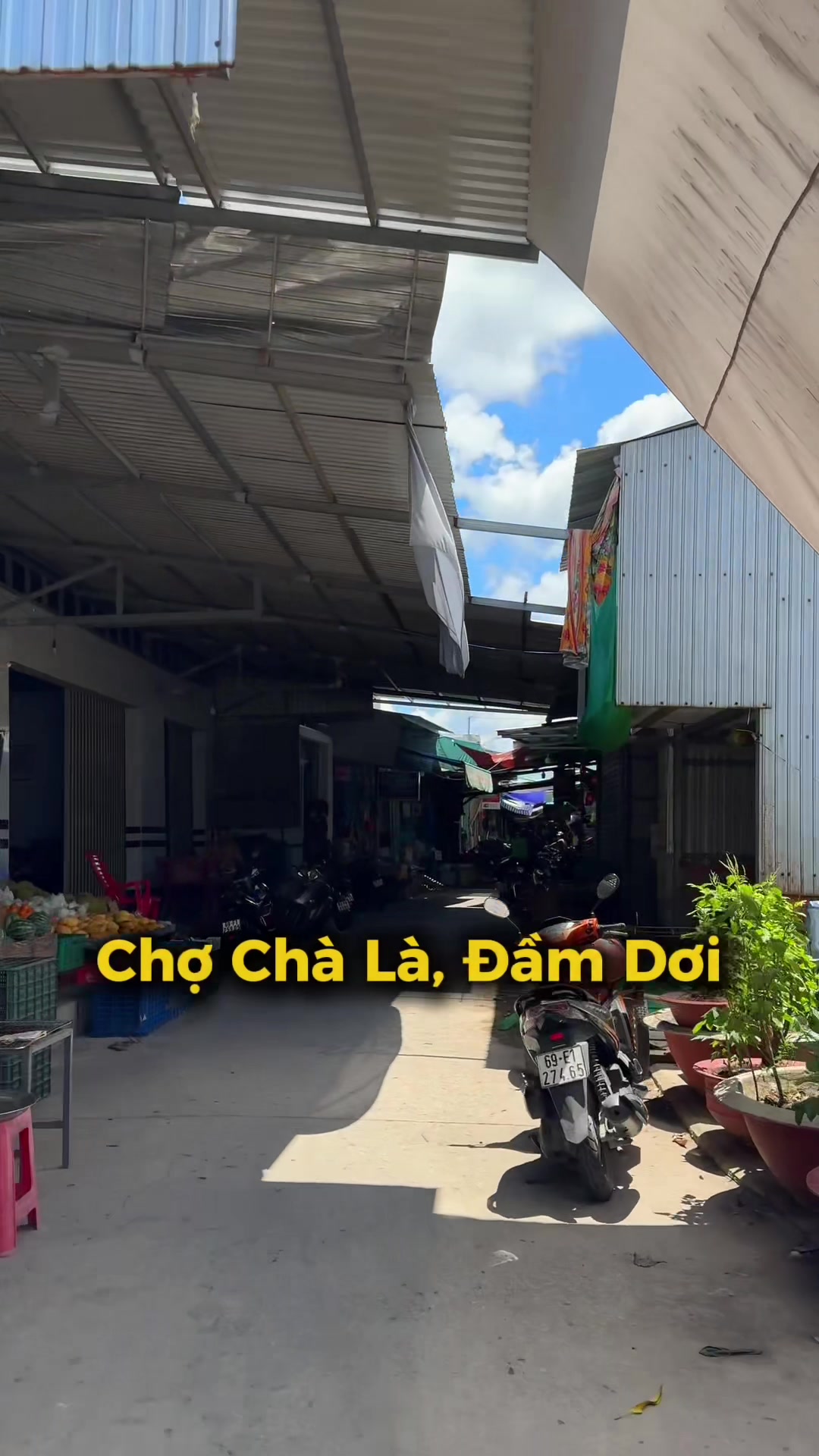 @Bé Rồng