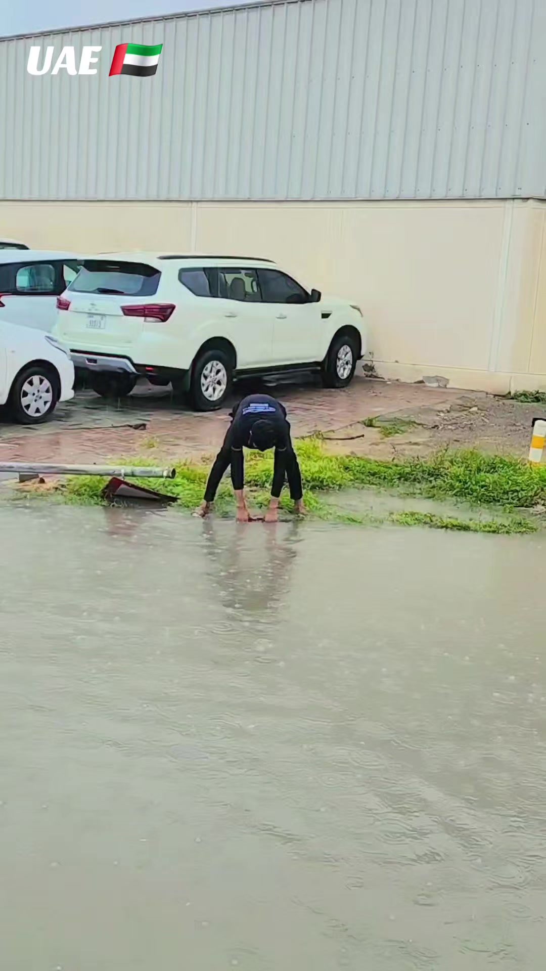 @SHUKAT ALI DUBAI