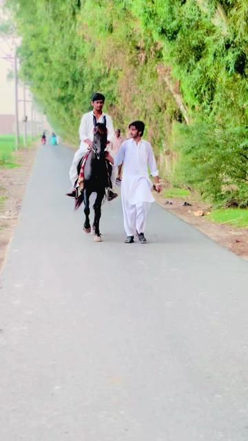 @کرم کھرل🦅