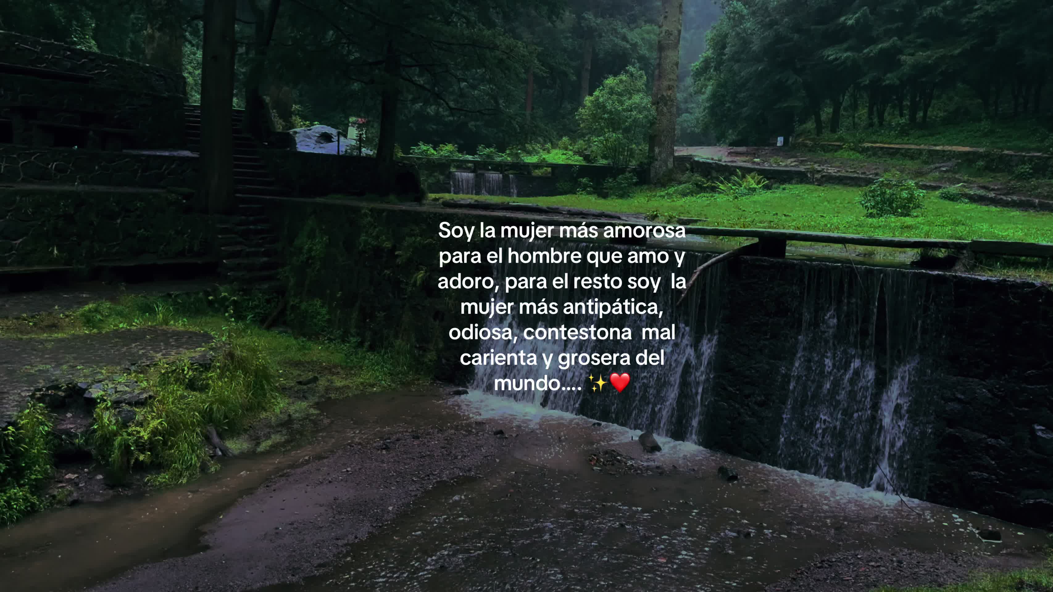 @vicco.loveee
