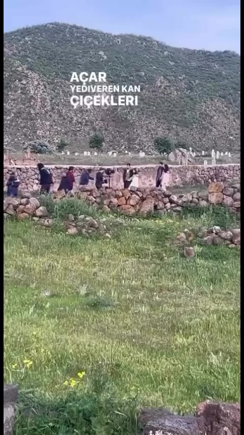 @𝙖𝙣𝙜𝙚𝙡𝙪̈𝙨 🪽