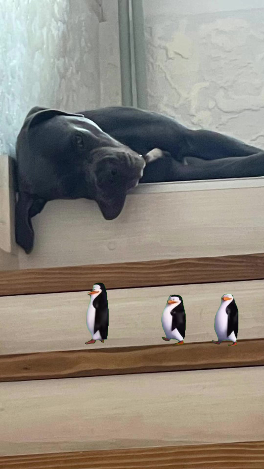@ЗУЛУ