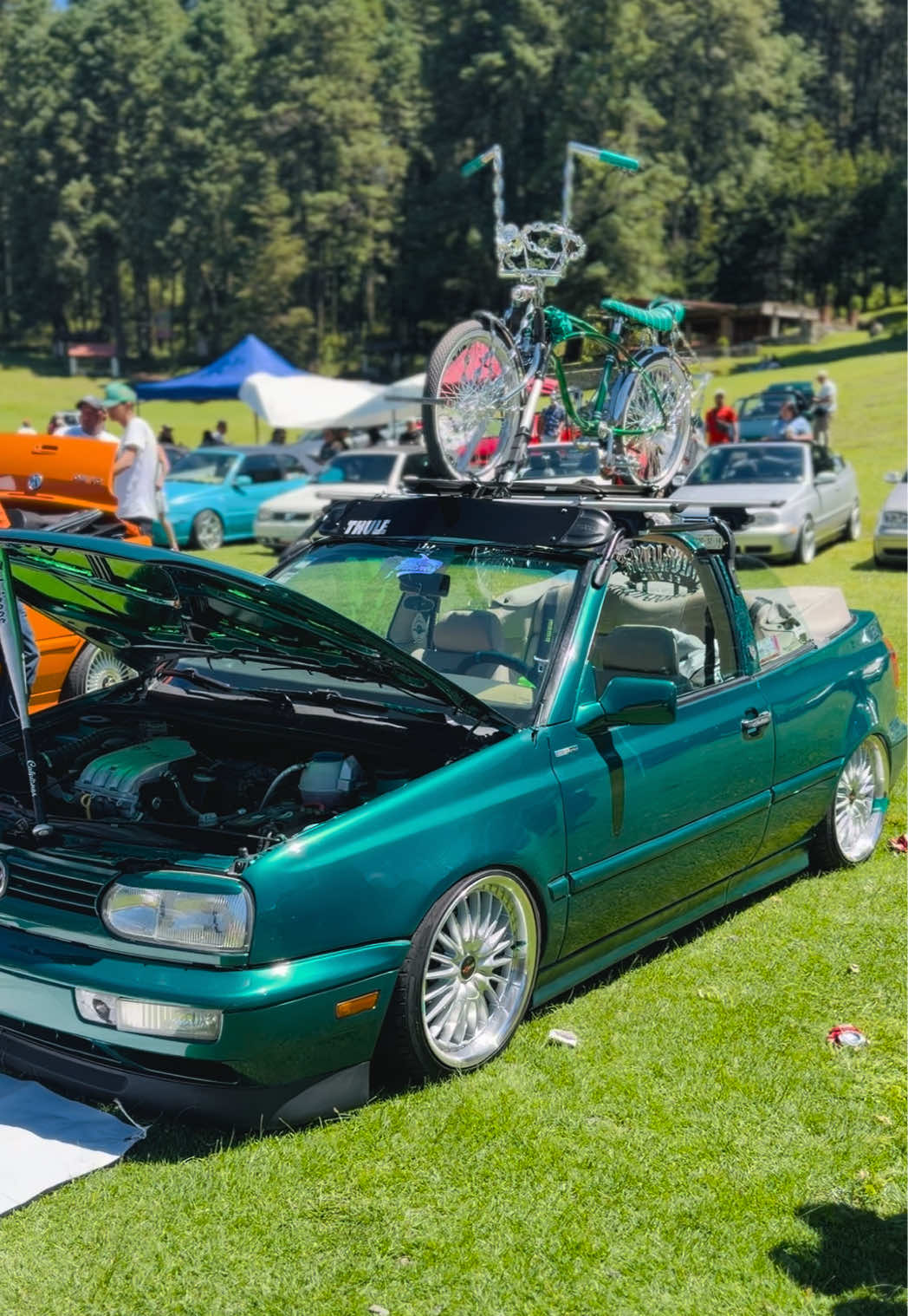 @nenucoVW