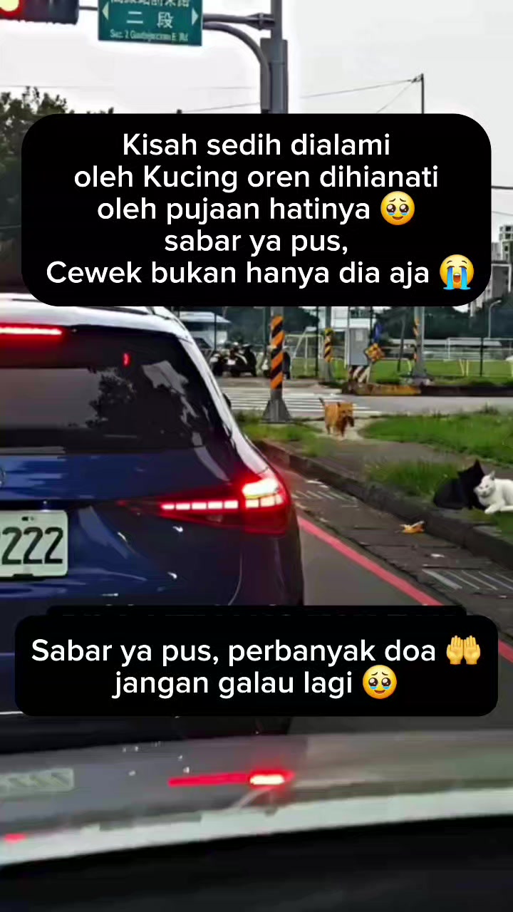 @𝐊𝐫𝐮𝐢 𝐓𝐯