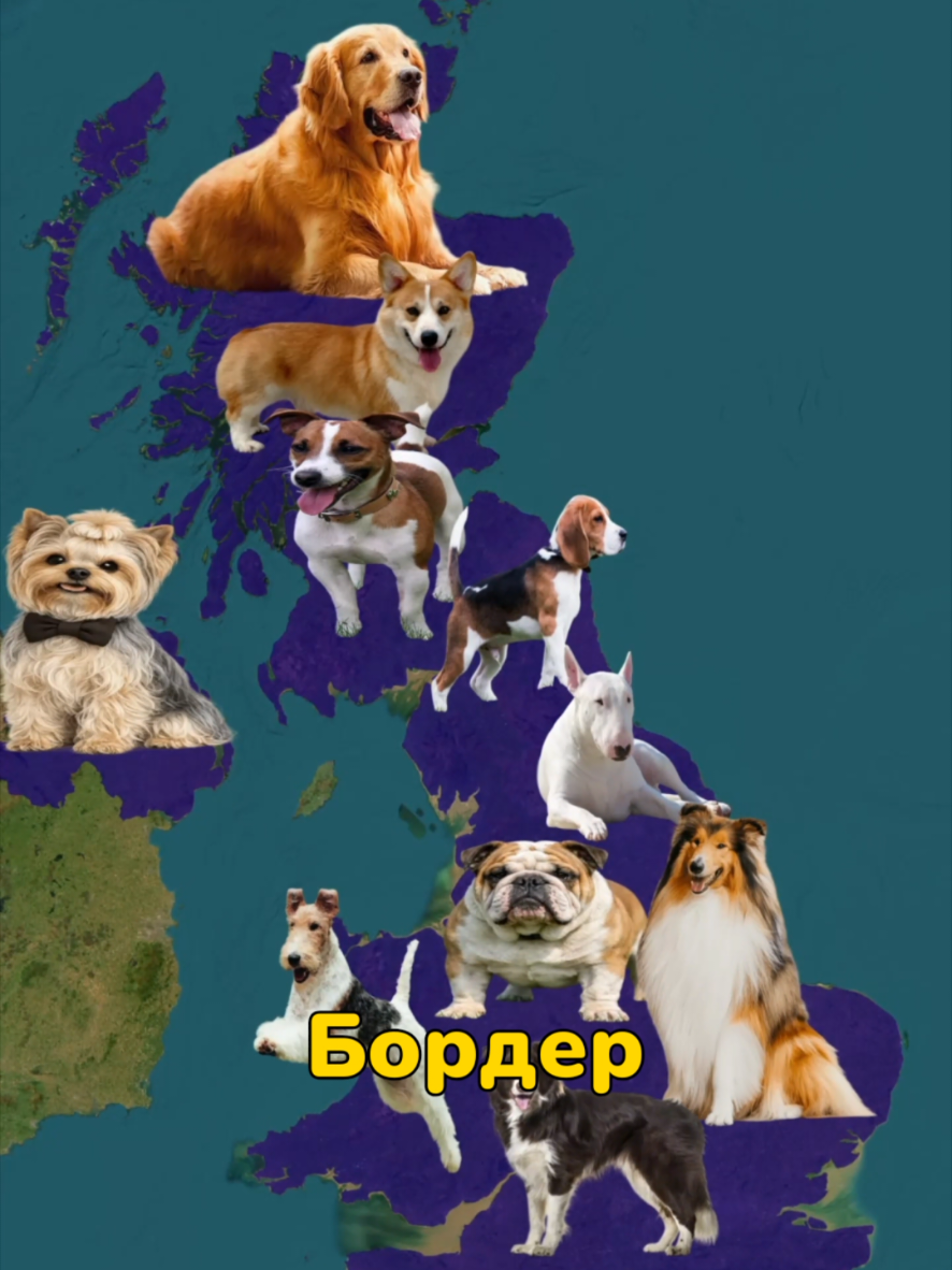 @Министерство Фактов