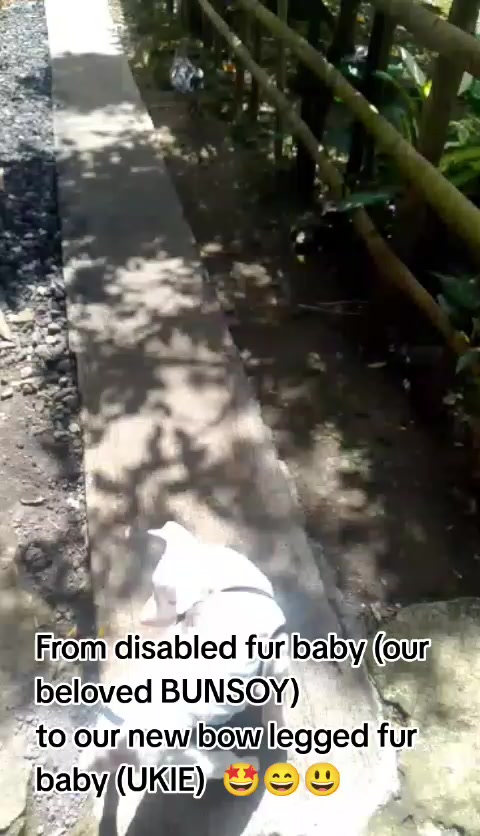 @Kamadi