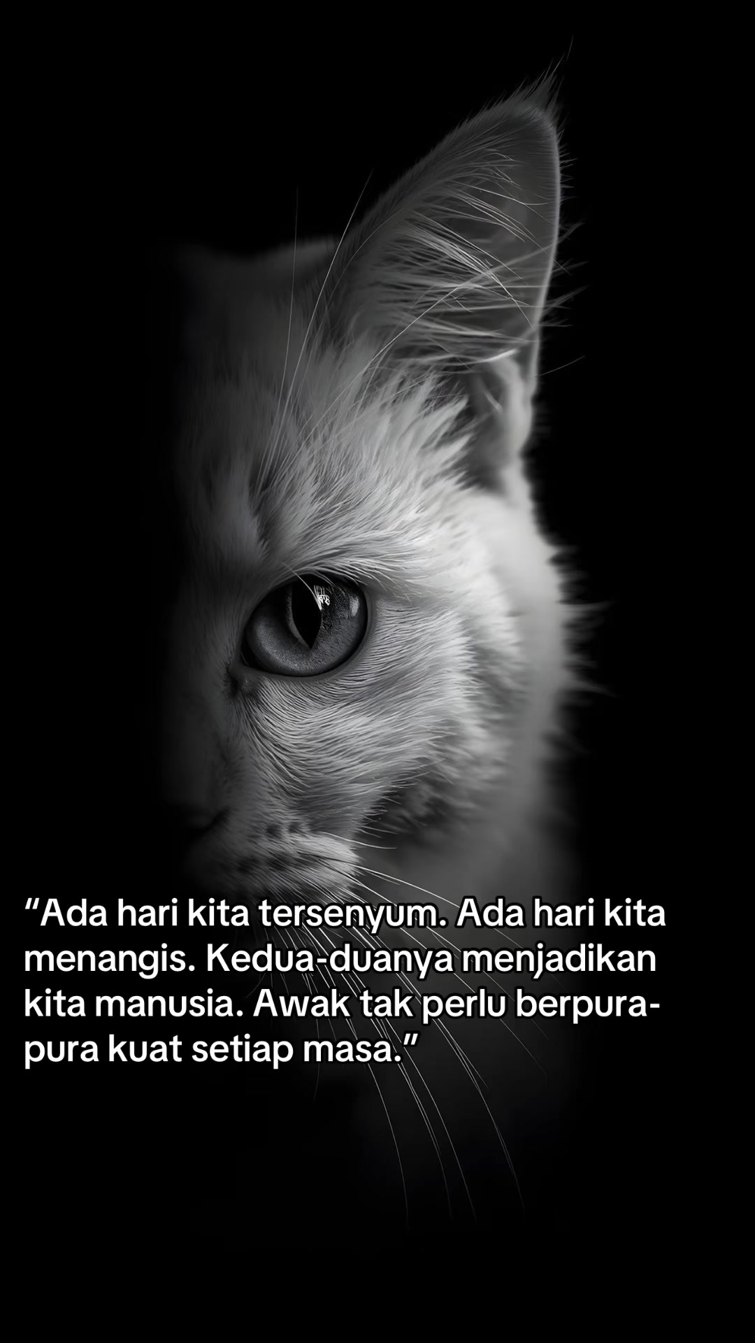 @Abu_Zahra