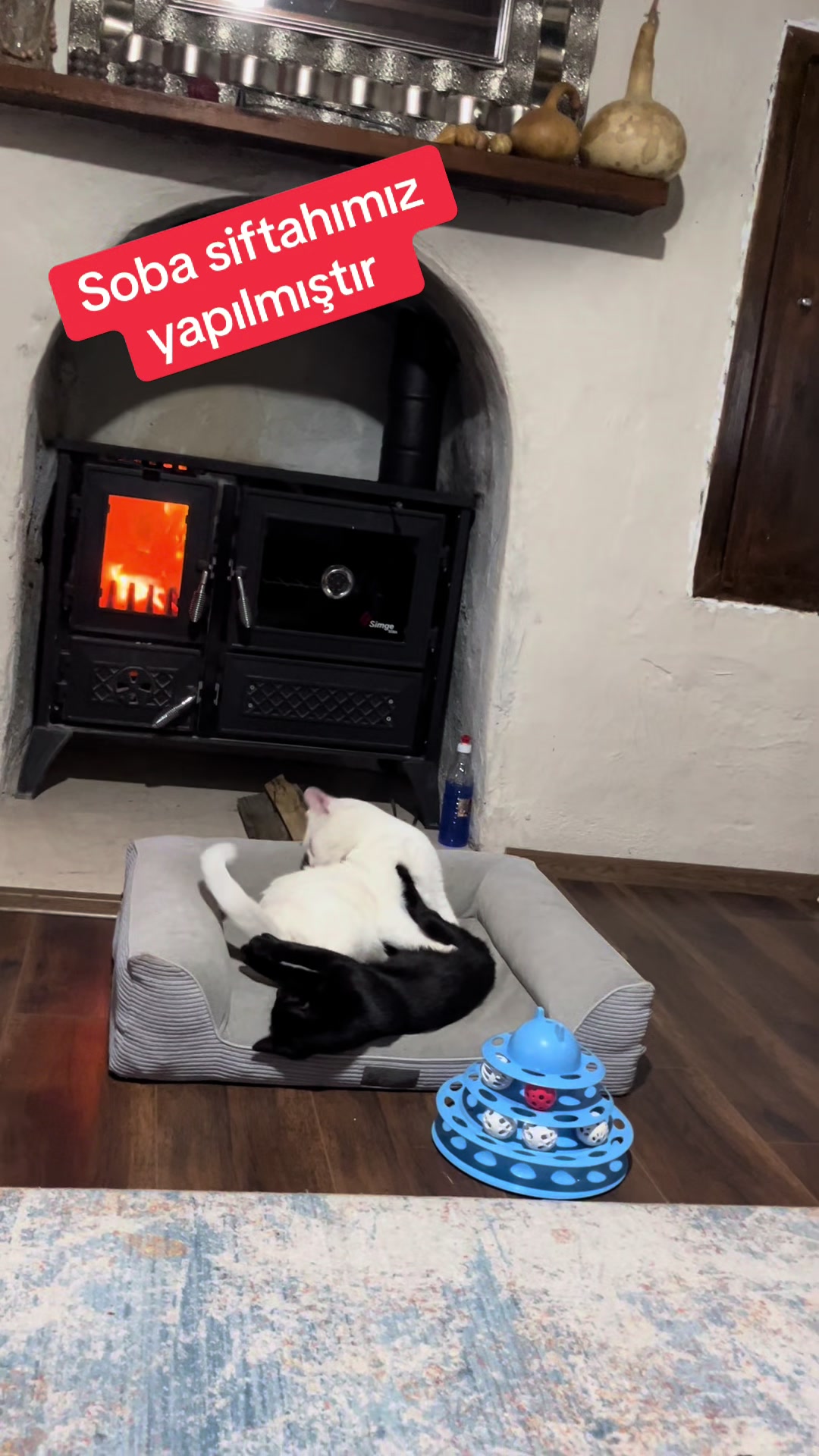 @&Ccedil;i&ccedil;inin k&ouml;y evi