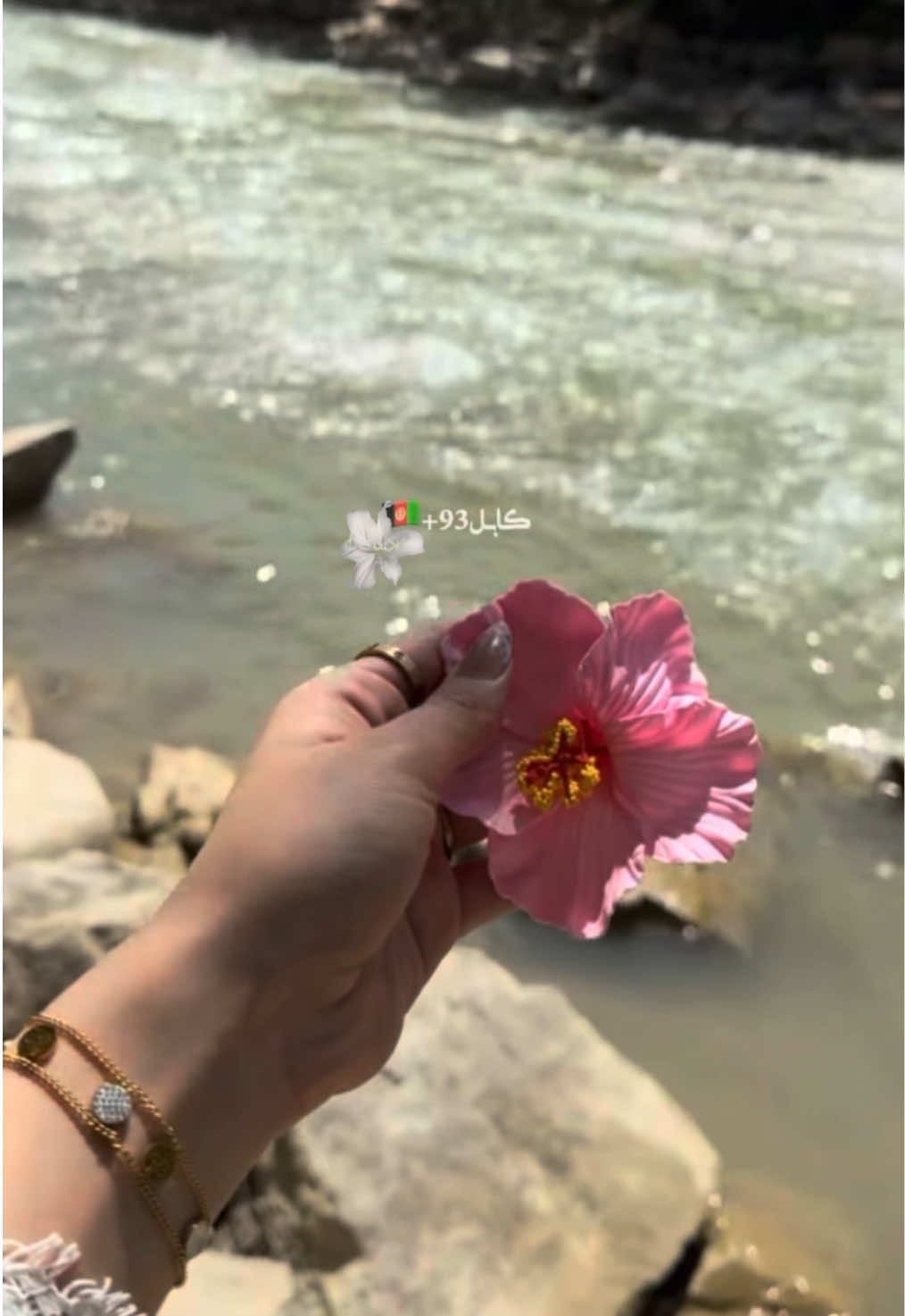 @𝟮𝟬𝟬𝟴 ྀིྀིྀིྀིྀི