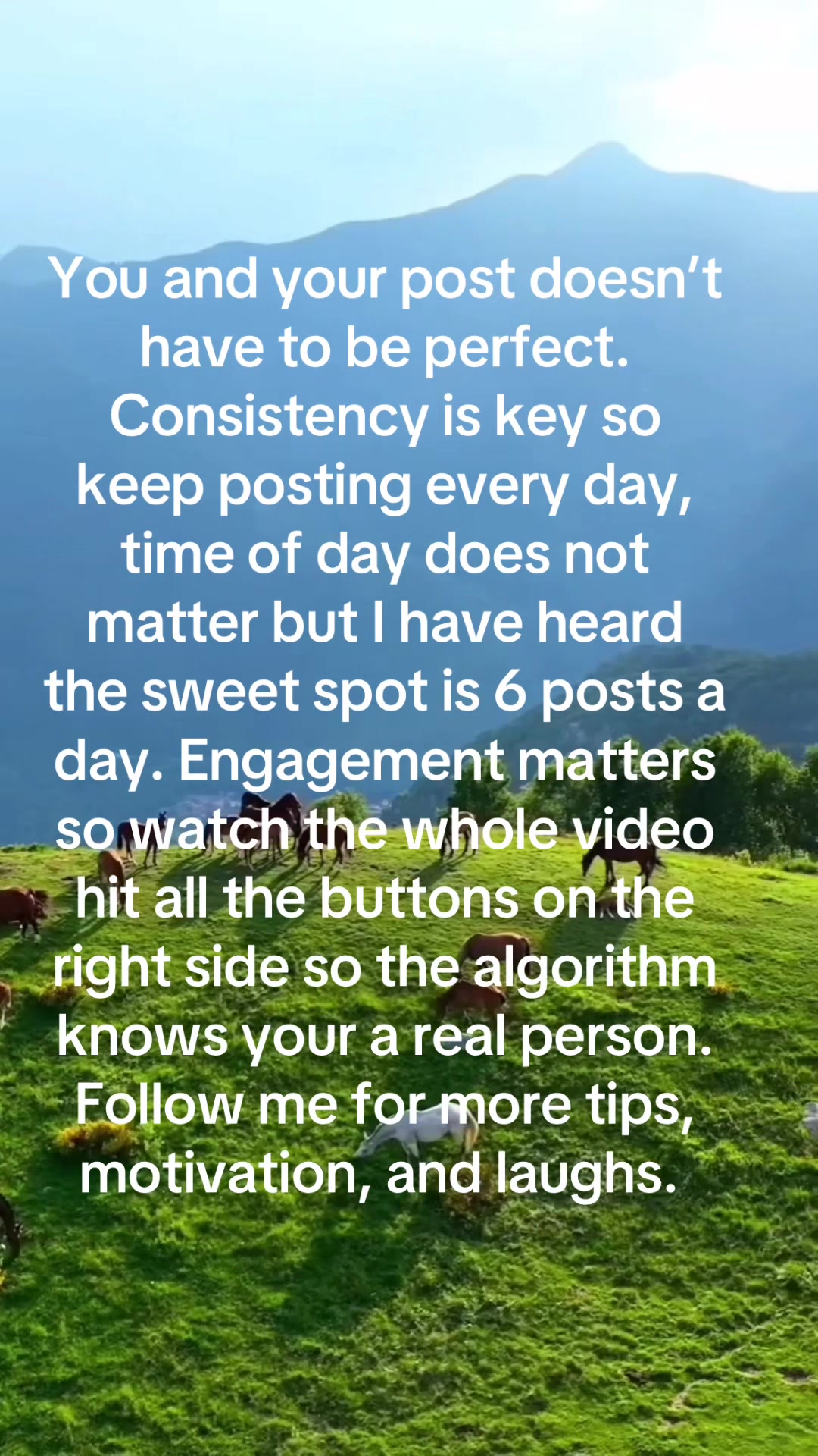 @Michelle Mora