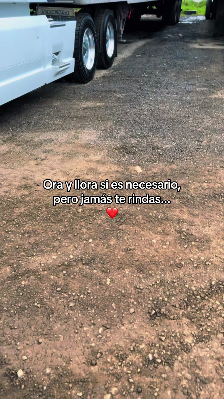 @ROLDAN 🃏