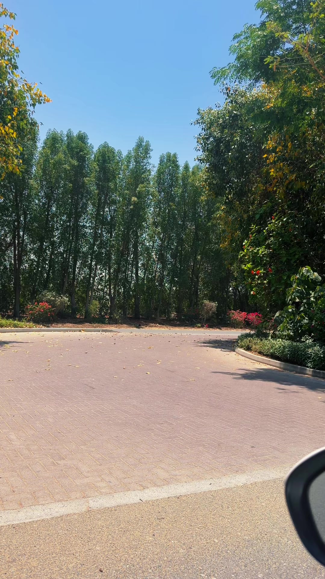 @Shehzad Village