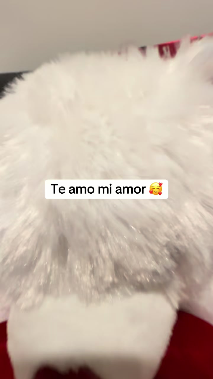 @La Familia Girón