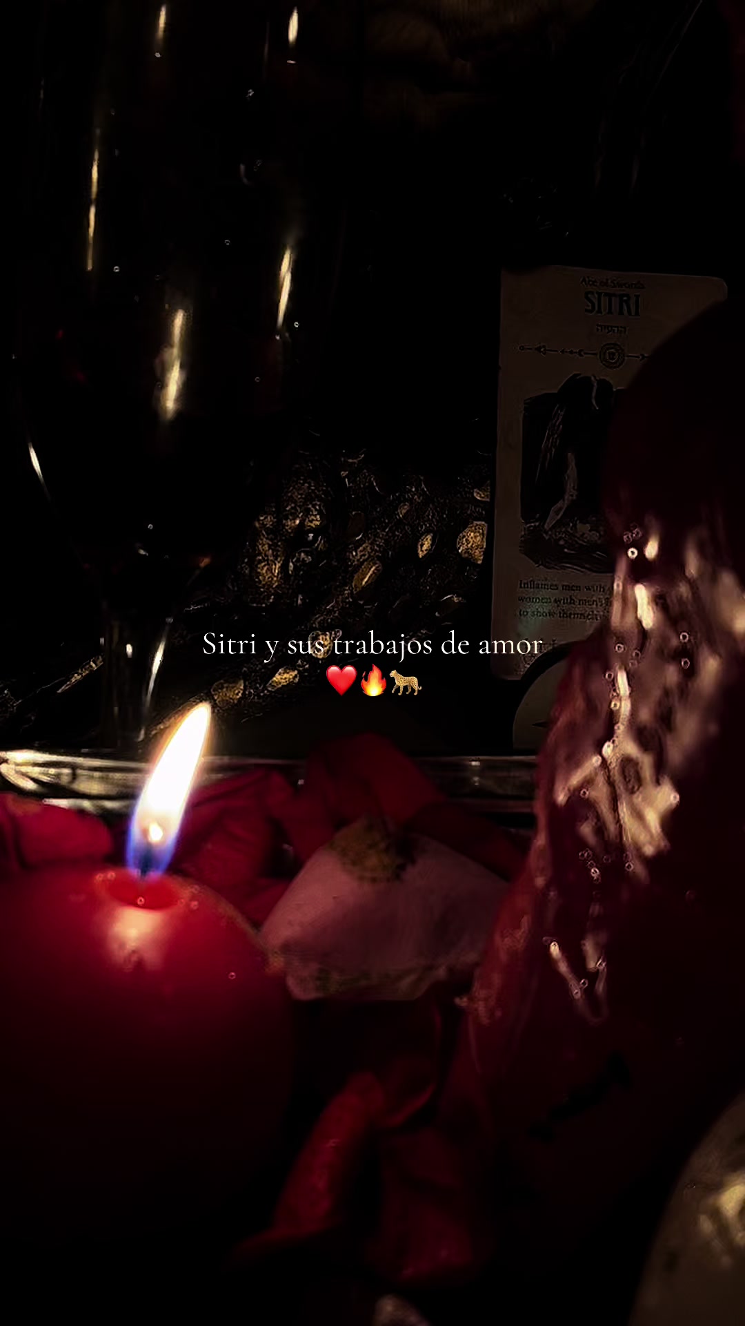 @°Kay•Daemon~🍸🐍