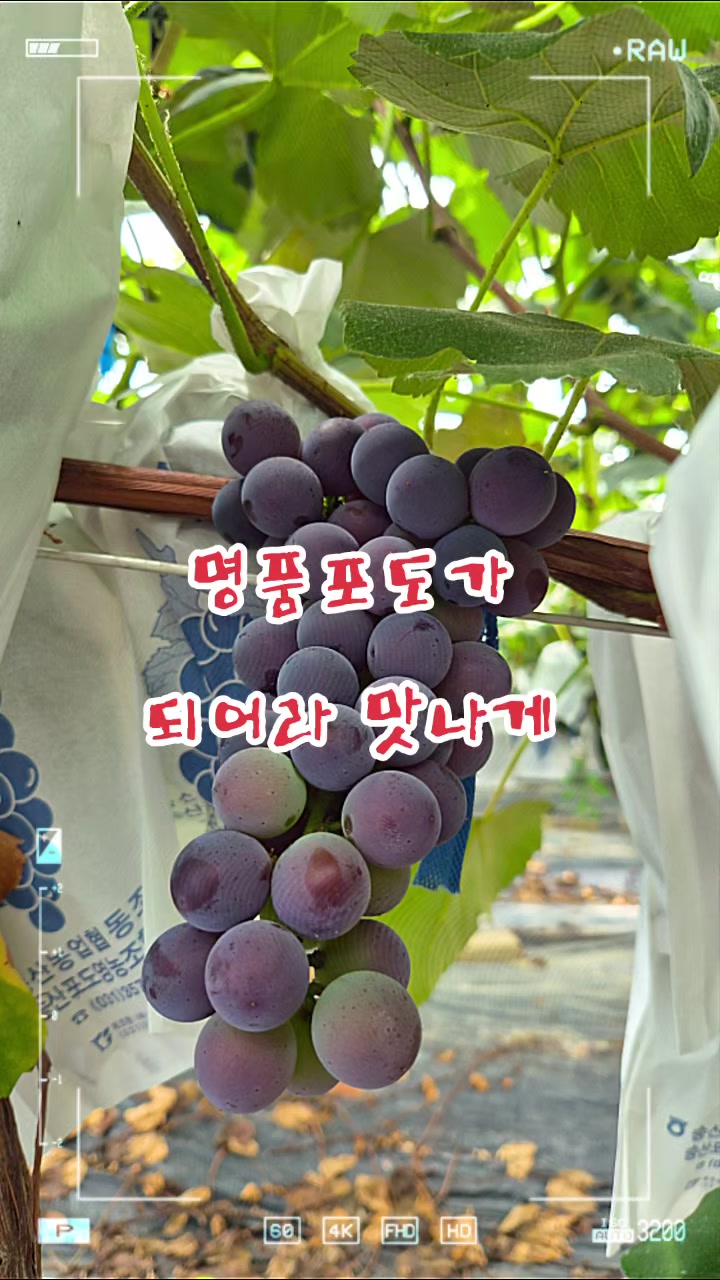 @๐ฐ๐ท๐์ก์ฐํฌ๋์ธ๋๐๐ฐ๐ท