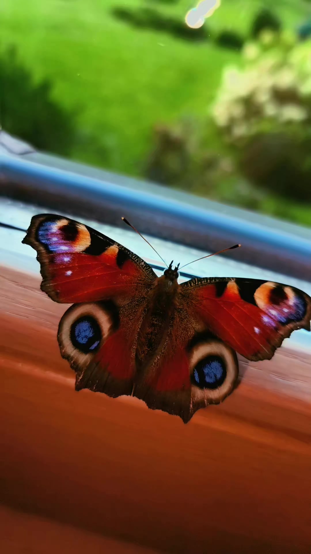 @Яна