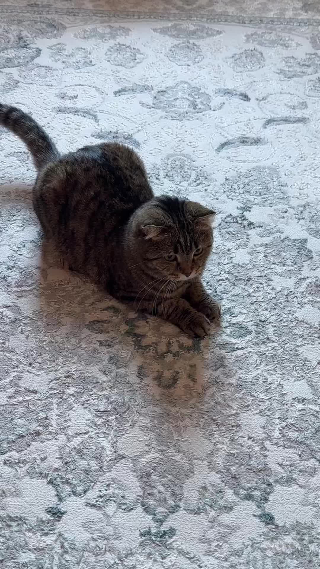 @Arma Iskakova