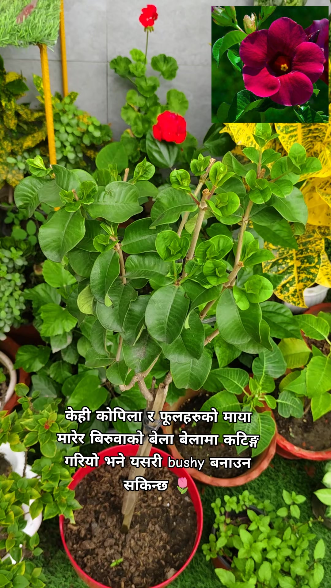 @poonam_shah 🧿🍀