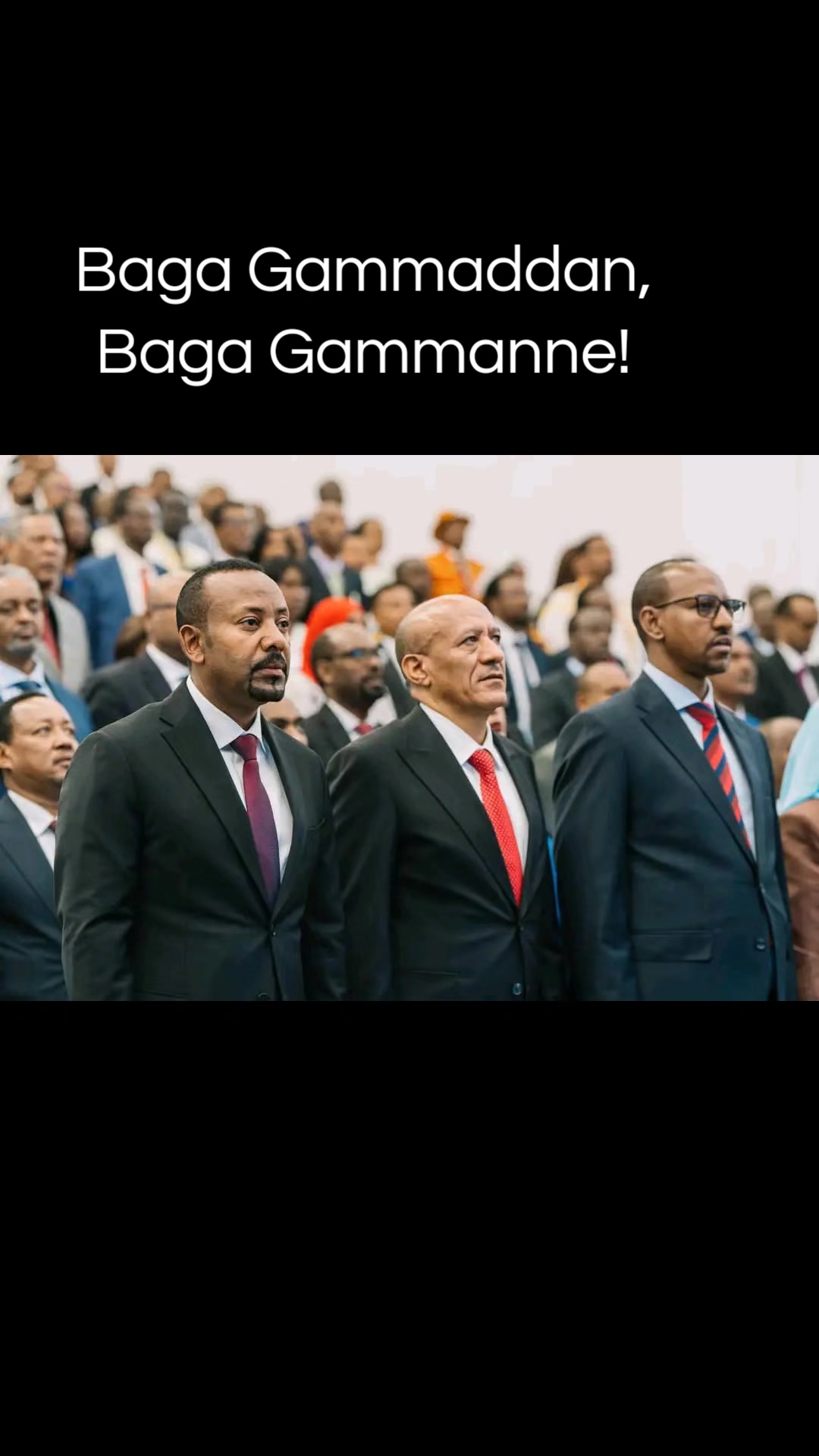 @Shimallis Abdisa Parody