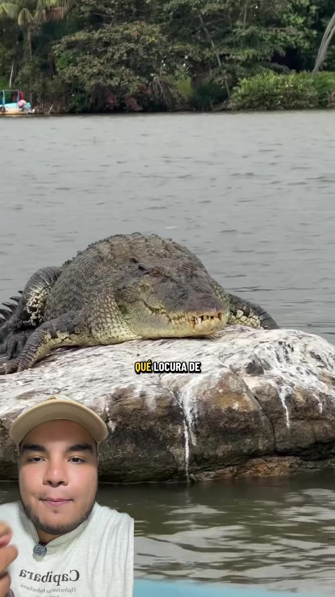 @Jair Herrera 🐆