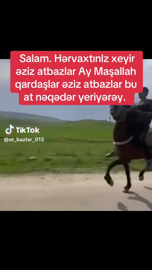 @Füzuli səfərov