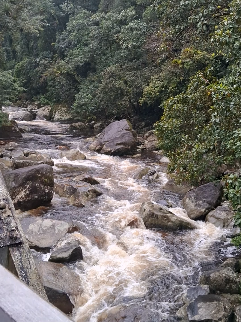@Dona Cida, Pé na Estrada