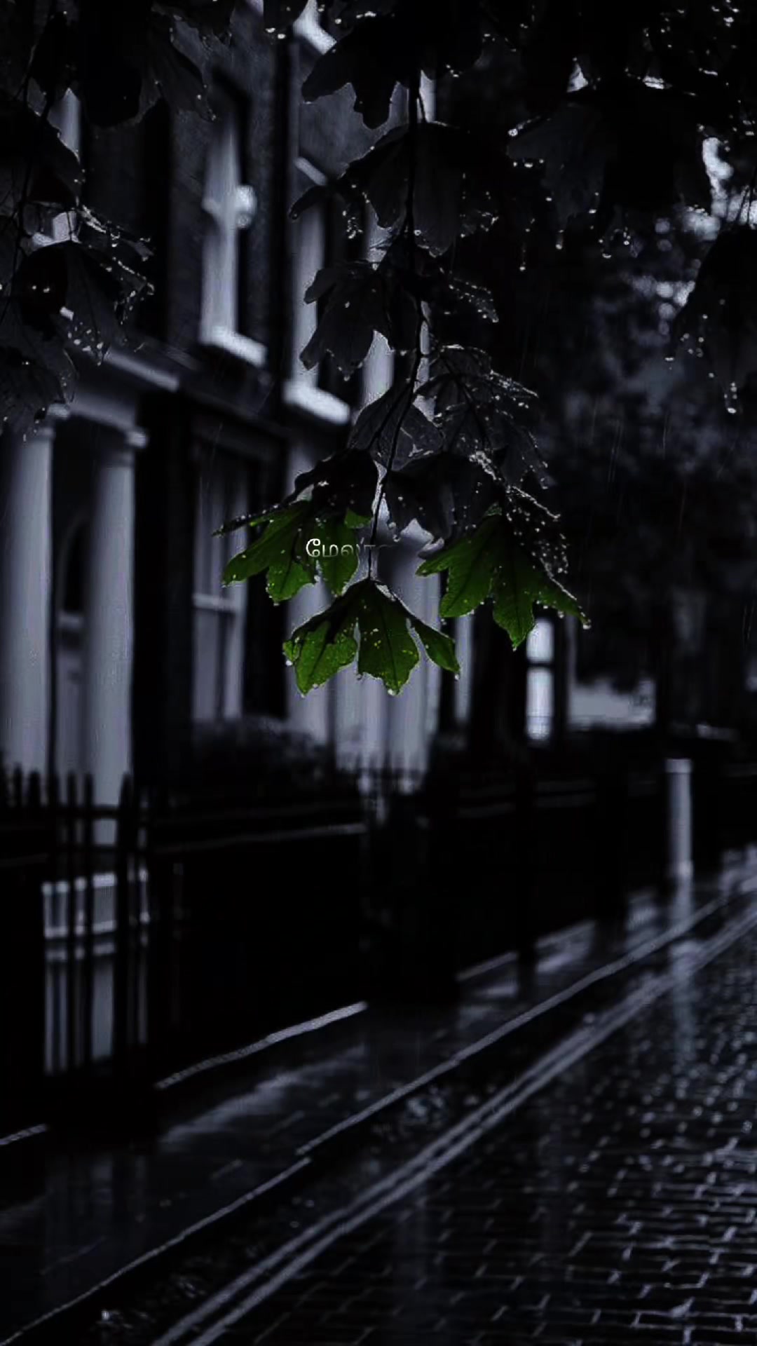 @𝓜𝓾𝓼𝓲𝓬-𝓘𝓷𝓯𝓲𝓷𝓲𝓽𝔂