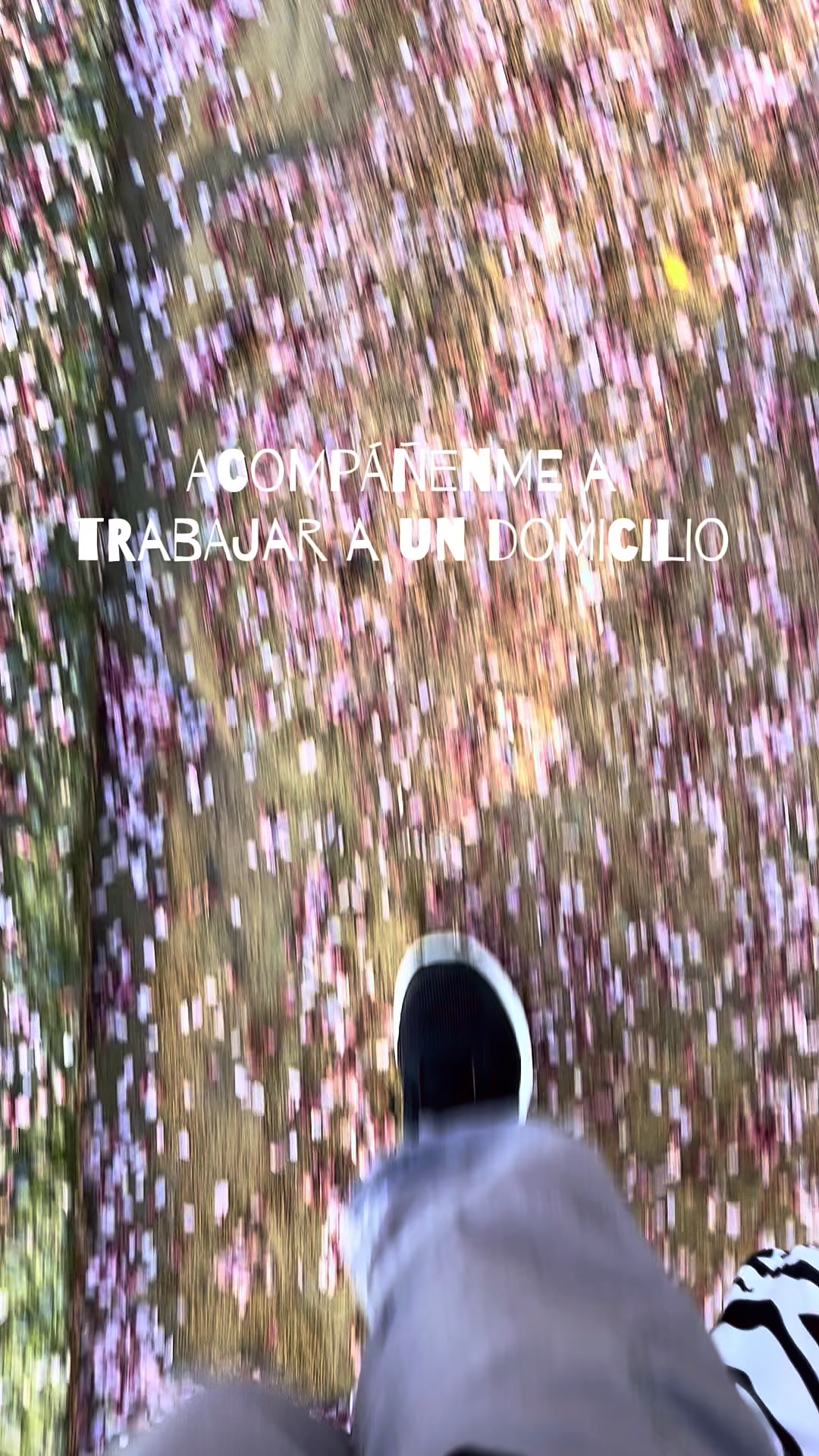 @𝗦𝗼𝗳𝗶 & 𝗹𝗶𝗮𝗺ᥫ᭡
