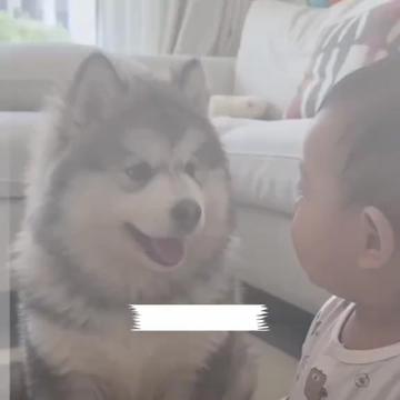 @Funny Videoss