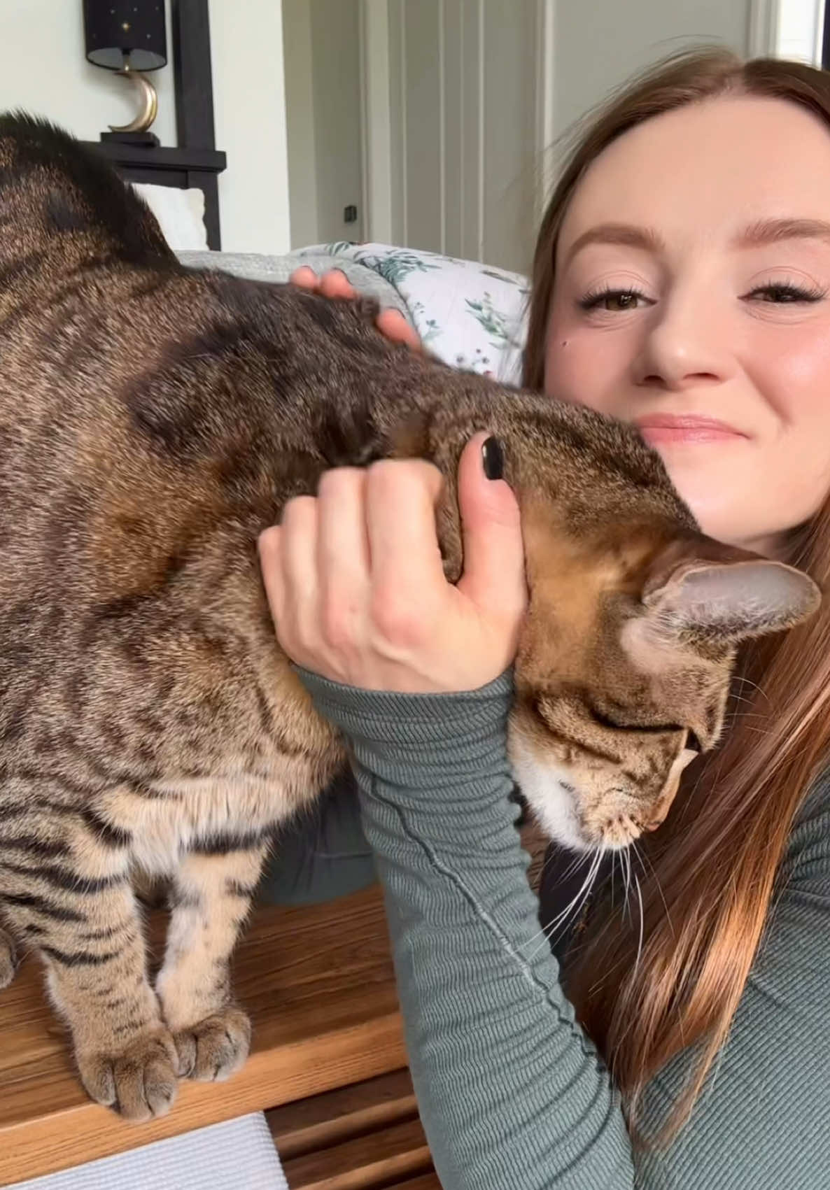 @dexterboycat 🐆♥️