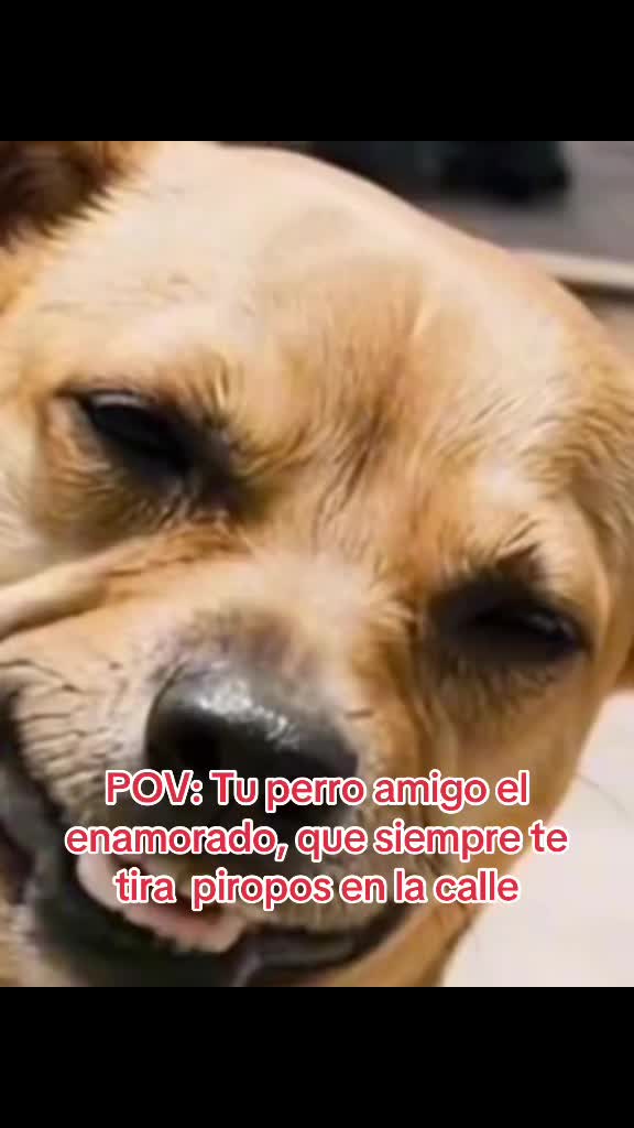 @Velasquez1207 Oficial