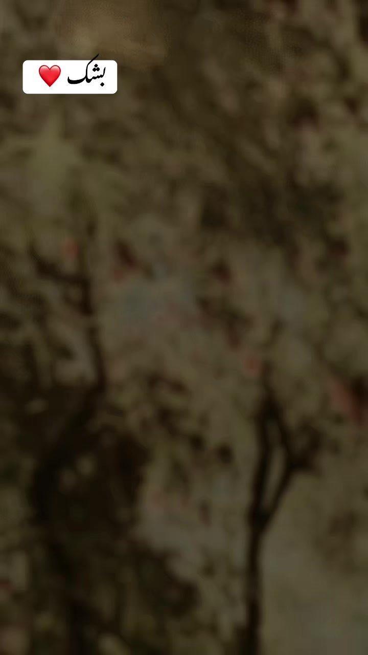 @احسن شیخ 🤍👀
