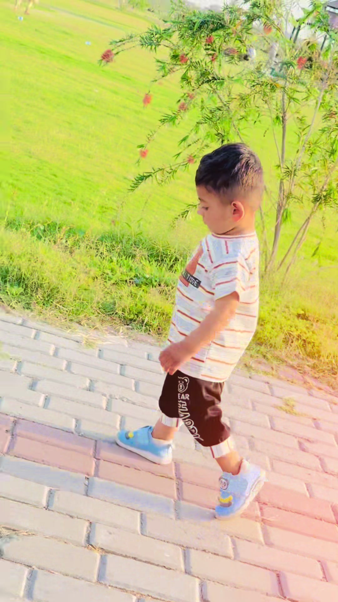 @Rana Shani