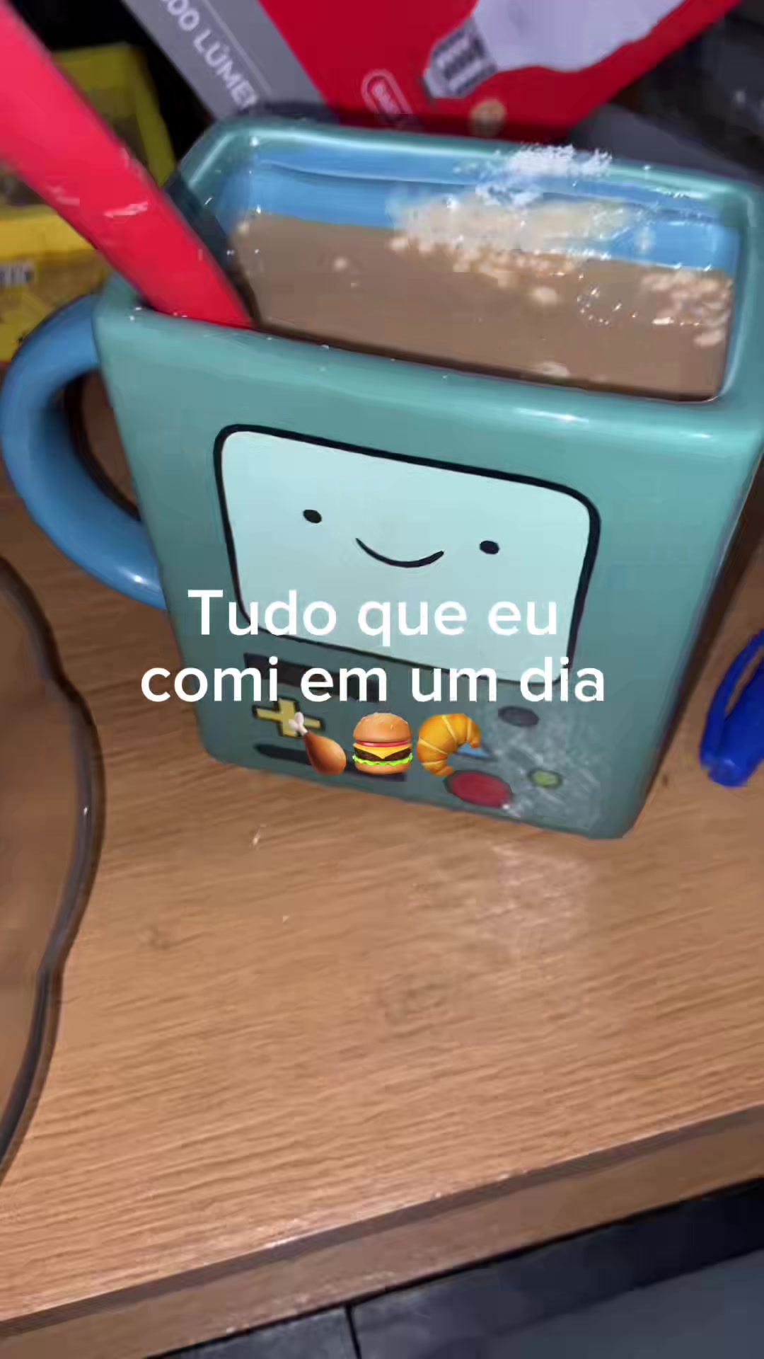 @micaelvlogs