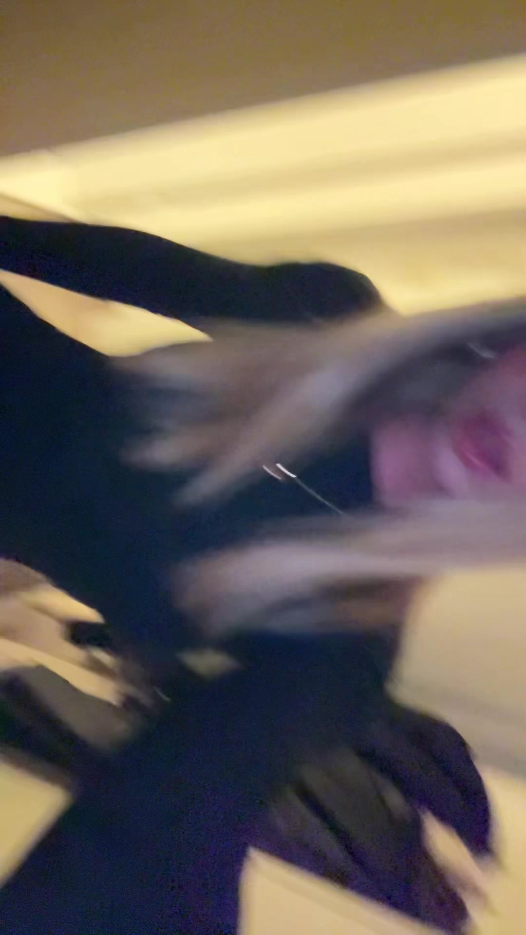 @Isabelrrp