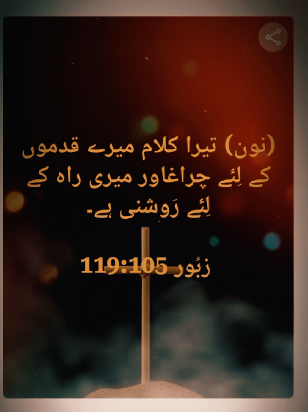 @👑Raja/khokhar🔫