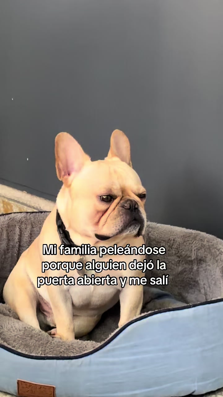 @Elisaag