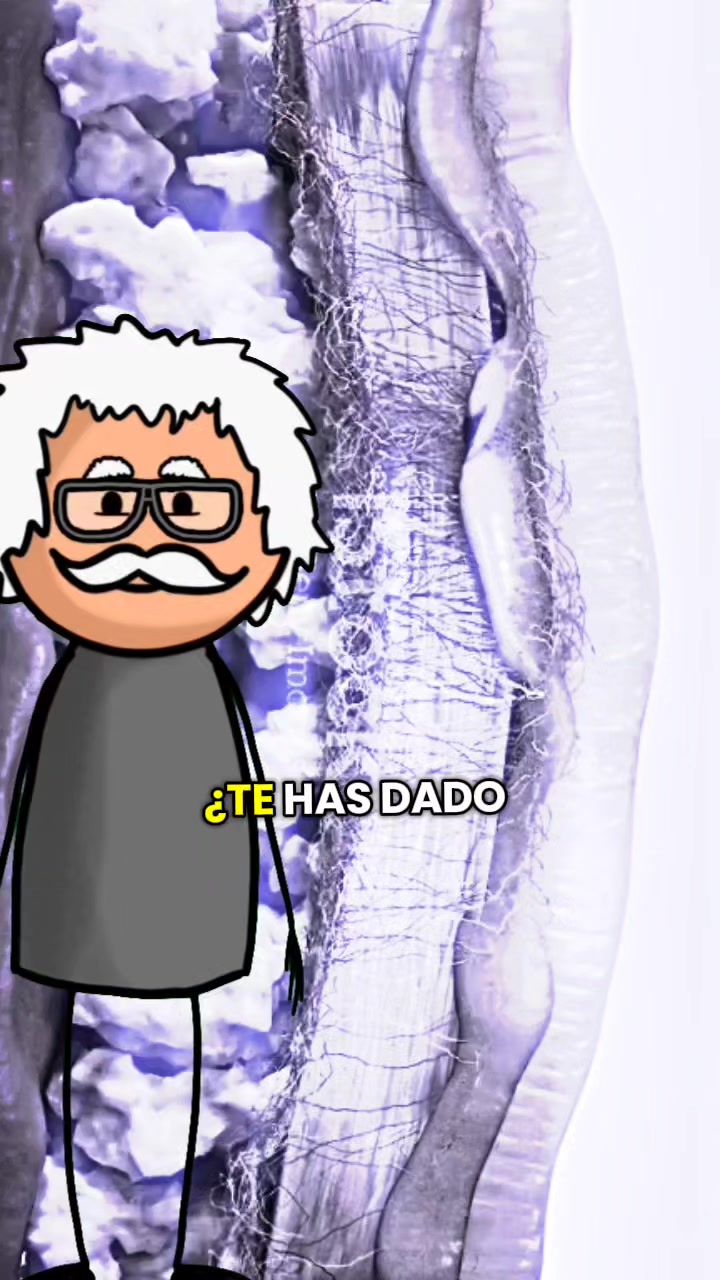 @Doctor Francés