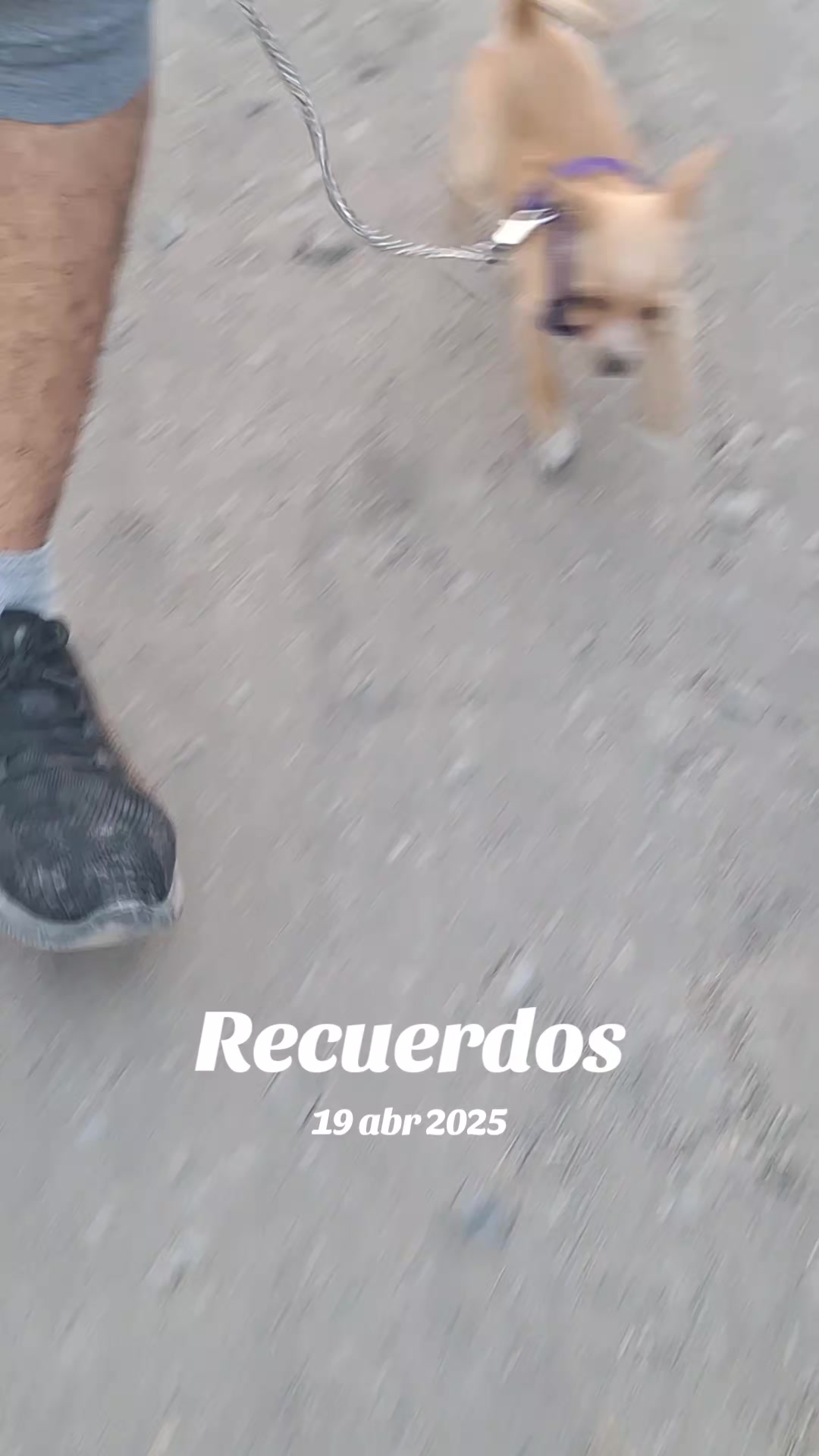 @AquiNo